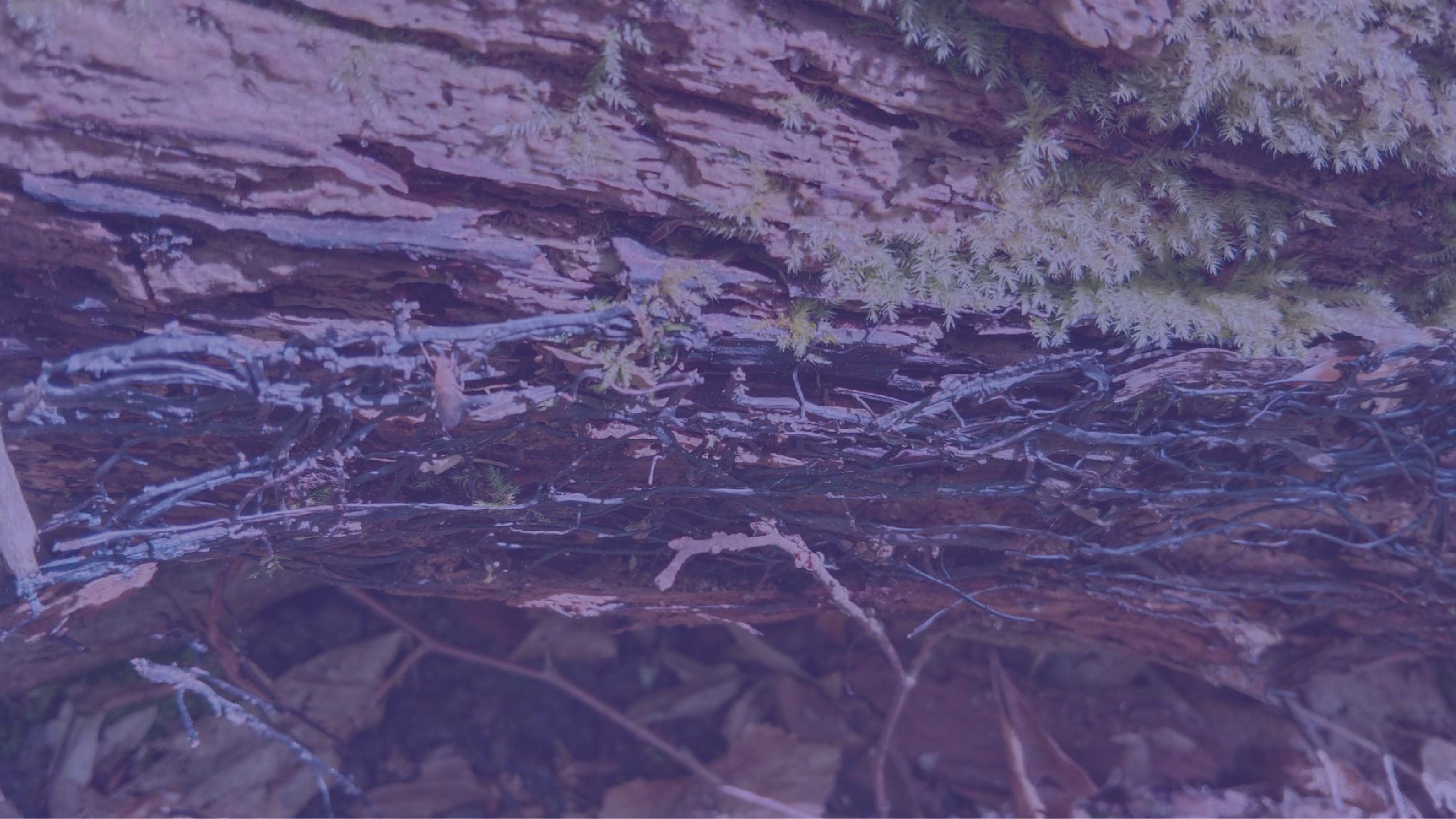 Zdrowie, relaks